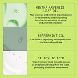 Nioxin System 2 Cleanser - Hair Cosmopolitan