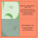 Nioxin System 4 Scalp Therapy - Hair Cosmopolitan