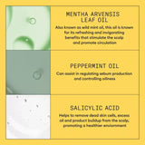 Nioxin System 1 Cleanser - Hair Cosmopolitan