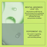 Nioxin System 2 Scalp Therapy - Hair Cosmopolitan