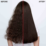 Redken FRIZZ DISMISS CONDITIONER