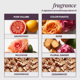 Pureology Airy Volume Holiday Hair Kit