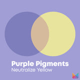 Total Results So Silver Purple Conditioner For Blonde And Silver Hair