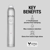 KENRA PROFESSIONALS SHAPING SPRAY 21
