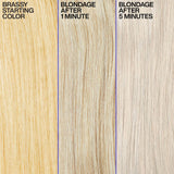 Redken BLONDAGE SHAMPOO