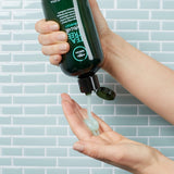 Paul Mitchell Tea Tree Special Shampoo - Hair Cosmopolitan
