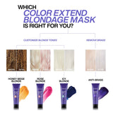 Redken COLOR EXTEND BLONDAGE COLOR DEPOSITING MASK FOR HONEY BEIGE BLONDE HAIR COLOR