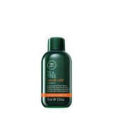 Paul Mitchell Tea Tree Special Color Shampoo - Hair Cosmopolitan